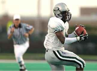 Bengals vs Chicago Bears Match Player Stats Bengals vs Chicago Bears Match Player Stats