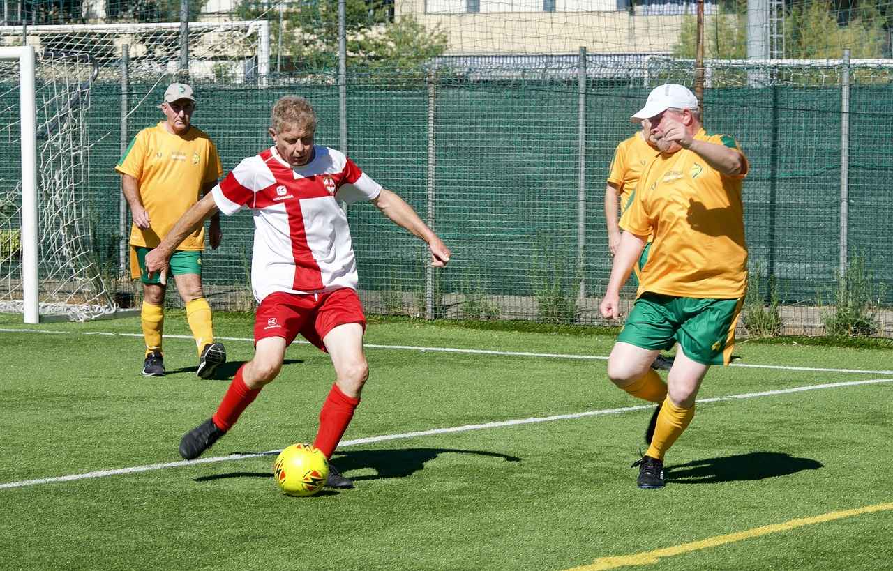 Impact of Weather Conditions on Game Performance