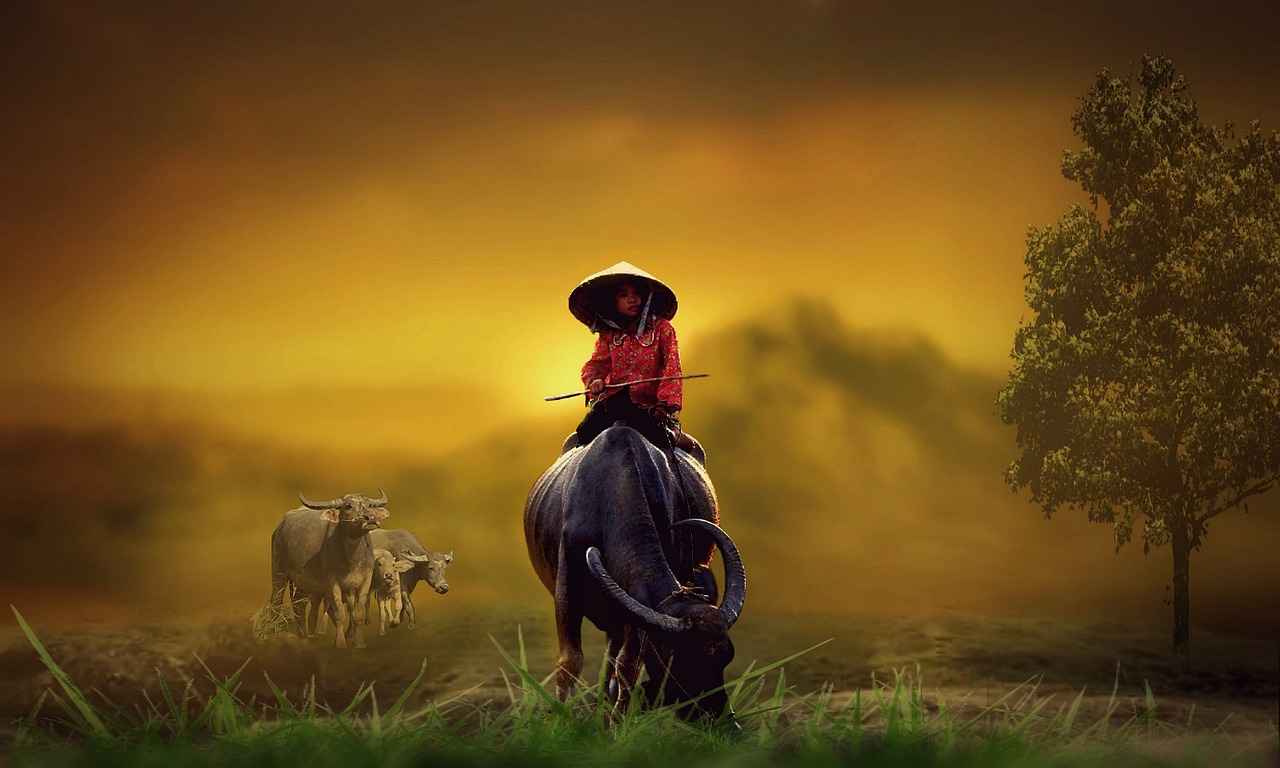 Special Teams Performance: Buffalo Bulls