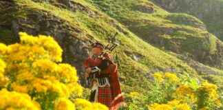 Celtic F.C. Vs BSC Young Boys Lineups Celtic F.C. Vs BSC Young Boys Lineups