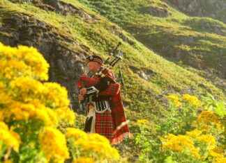 Celtic F.C. Vs BSC Young Boys Lineups Celtic F.C. Vs BSC Young Boys Lineups