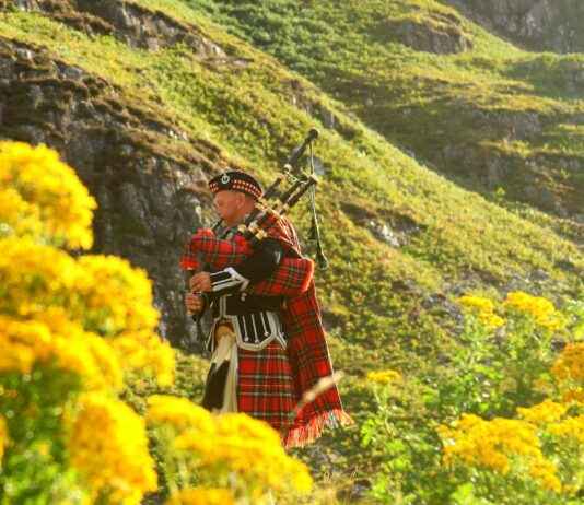 Celtic F.C. Vs BSC Young Boys Lineups Celtic F.C. Vs BSC Young Boys Lineups