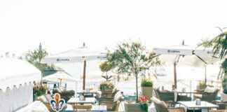 Chivas De Guadalajara Vs Mazatlán F.C. Lineups Chivas De Guadalajara Vs Mazatlán F.C. Lineups