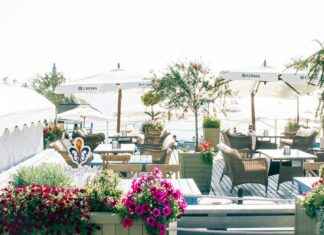 Chivas De Guadalajara Vs Mazatlán F.C. Lineups Chivas De Guadalajara Vs Mazatlán F.C. Lineups