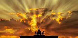 Cleveland Browns vs Seahawks Match Player Stats Cleveland Browns vs Seahawks Match Player Stats