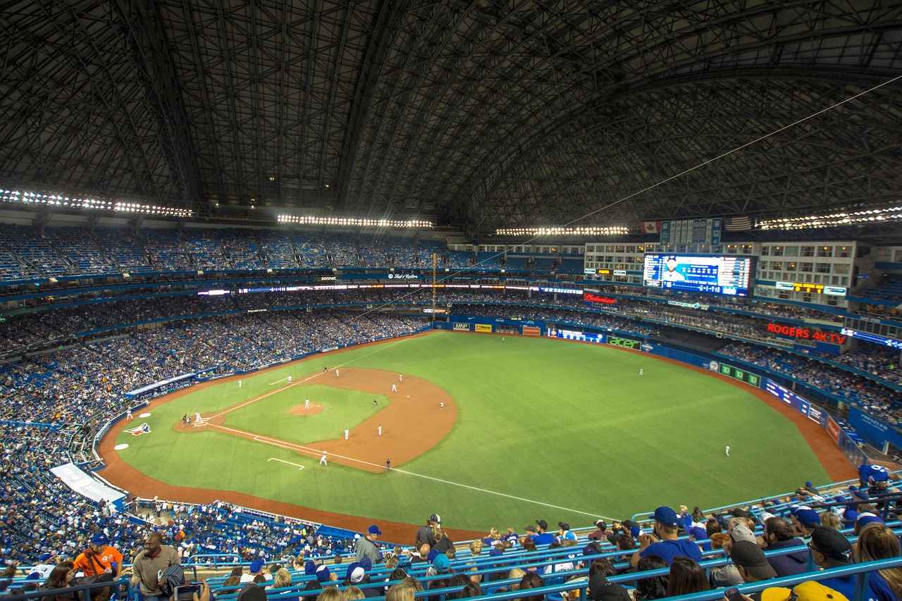 Fan Engagement and Atmosphere at the Game