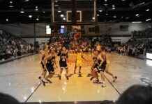 Connecticut Sun vs Los Angeles Sparks Match Player Stats Connecticut Sun vs Los Angeles Sparks Match Player Stats