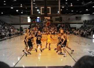 Connecticut Sun vs Los Angeles Sparks Match Player Stats Connecticut Sun vs Los Angeles Sparks Match Player Stats