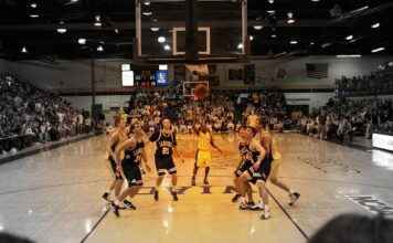 Connecticut Sun vs Los Angeles Sparks Match Player Stats Connecticut Sun vs Los Angeles Sparks Match Player Stats