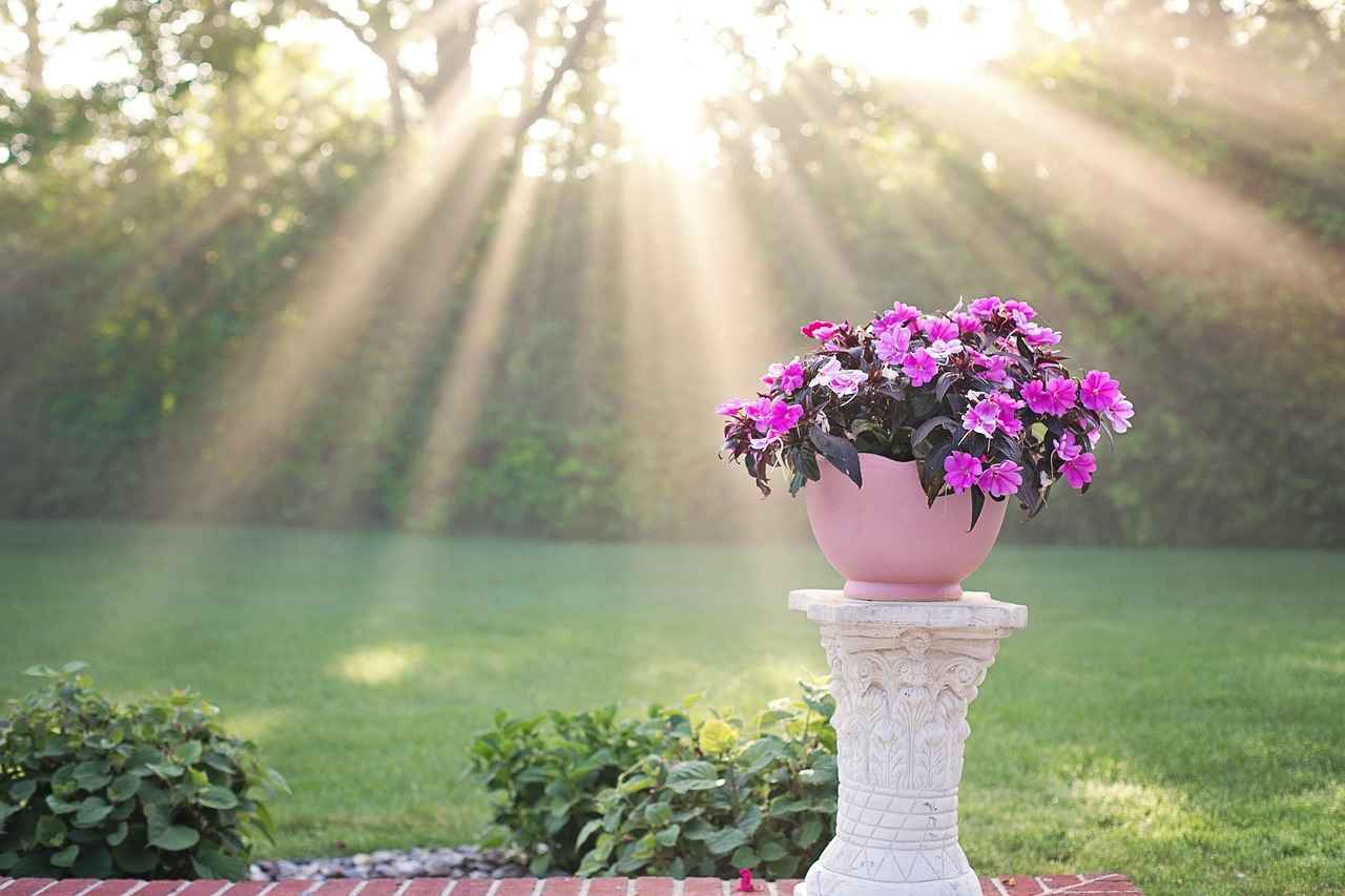 Overview of the Connecticut Sun Season