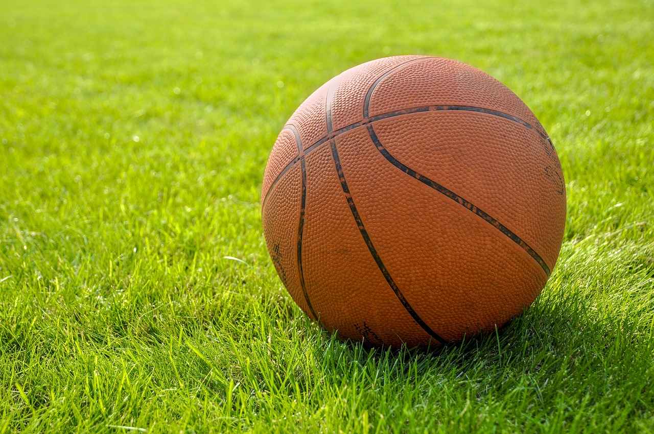 Defensive Strategies of the Los Angeles Sparks