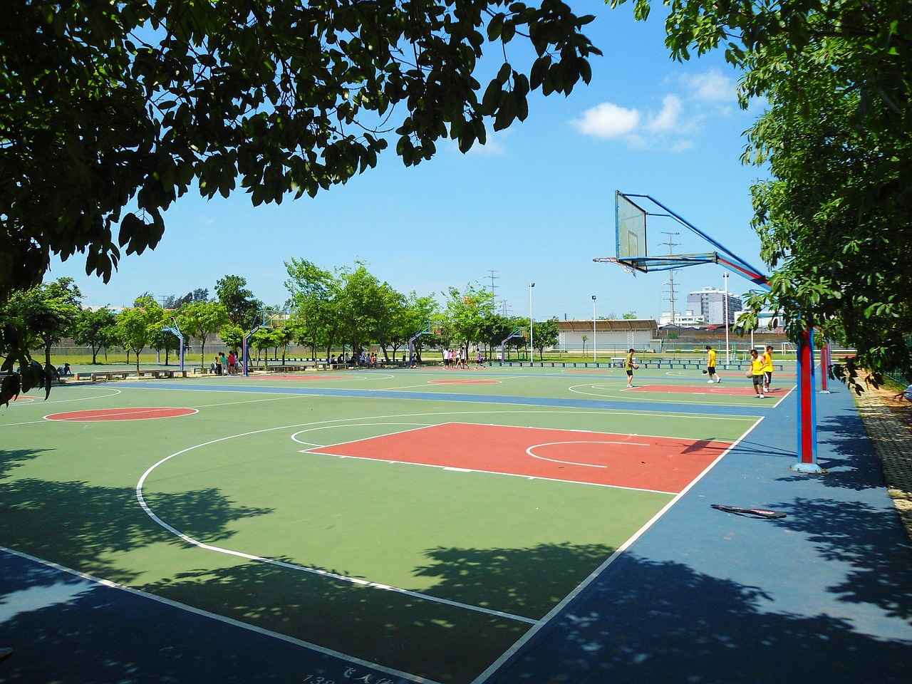 Defensive Strategies of the Connecticut Sun