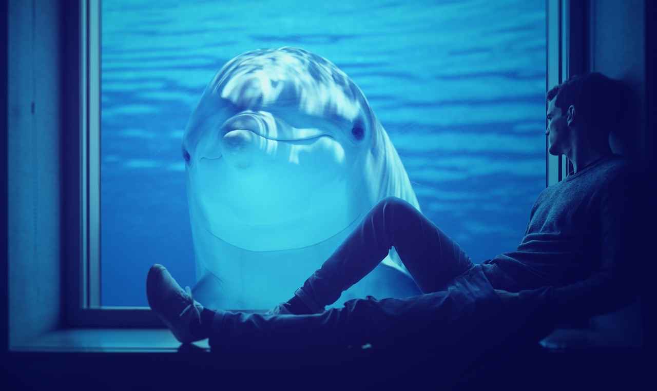 Special Teams Contributions