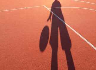 Minnesota Lynx vs Dallas Wings Match Player Stats Minnesota Lynx vs Dallas Wings Match Player Stats