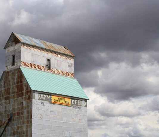 Nebraska Cornhuskers Football vs Indiana Hoosiers Football Match Player Stats Nebraska Cornhuskers Football vs Indiana Hoosiers Football Match Player Stats