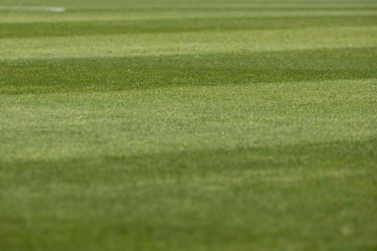 Statistical Comparisons and Matchup Analysis