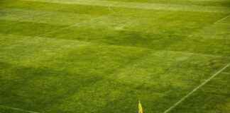 Northwestern Wildcats Football vs Iowa Hawkeyes Football Match Player Stats Northwestern Wildcats Football vs Iowa Hawkeyes Football Match Player Stats