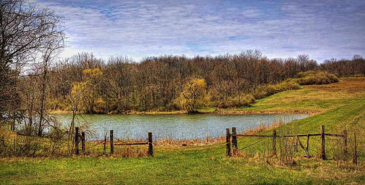 Recruitment Strategies Post-Transfer Portal