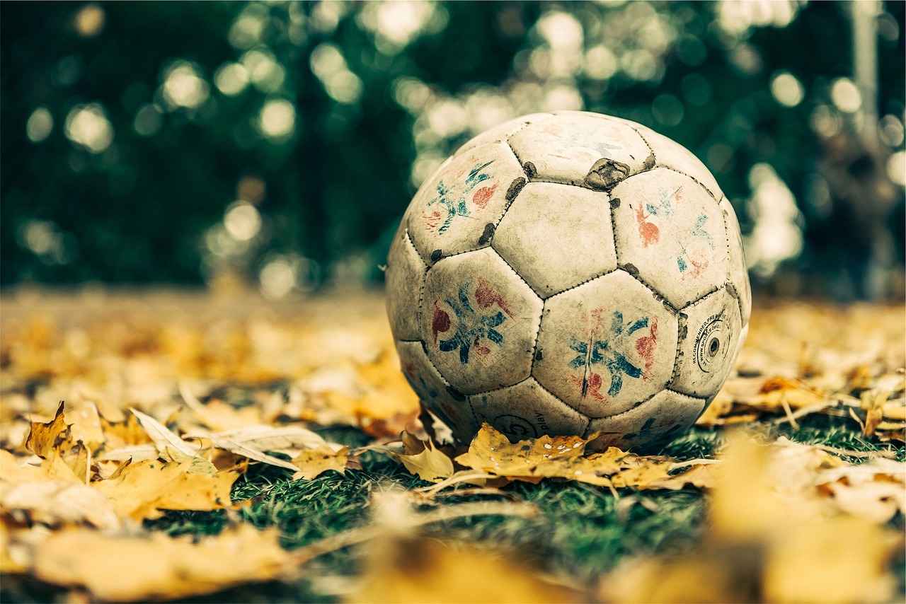Player Development Programs