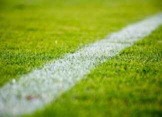 Philadelphia Eagles vs Cleveland Browns Match Player Stats Philadelphia Eagles vs Cleveland Browns Match Player Stats