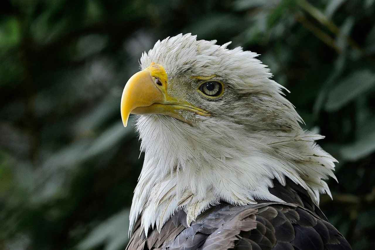 Wide Receivers Impact