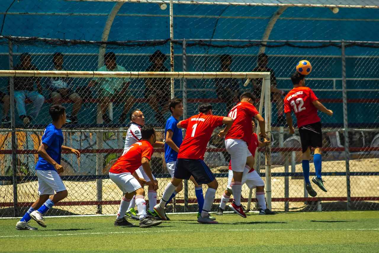 Defensive Strategies of Rice Owls