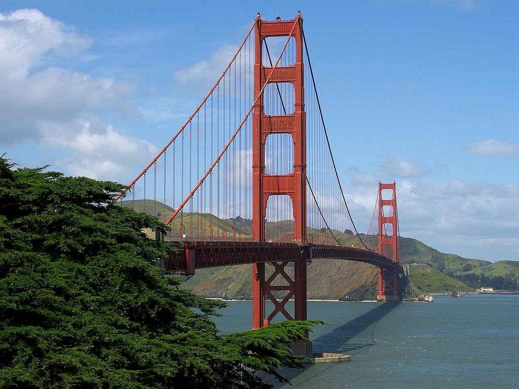 Overview of the Oakland Athletics