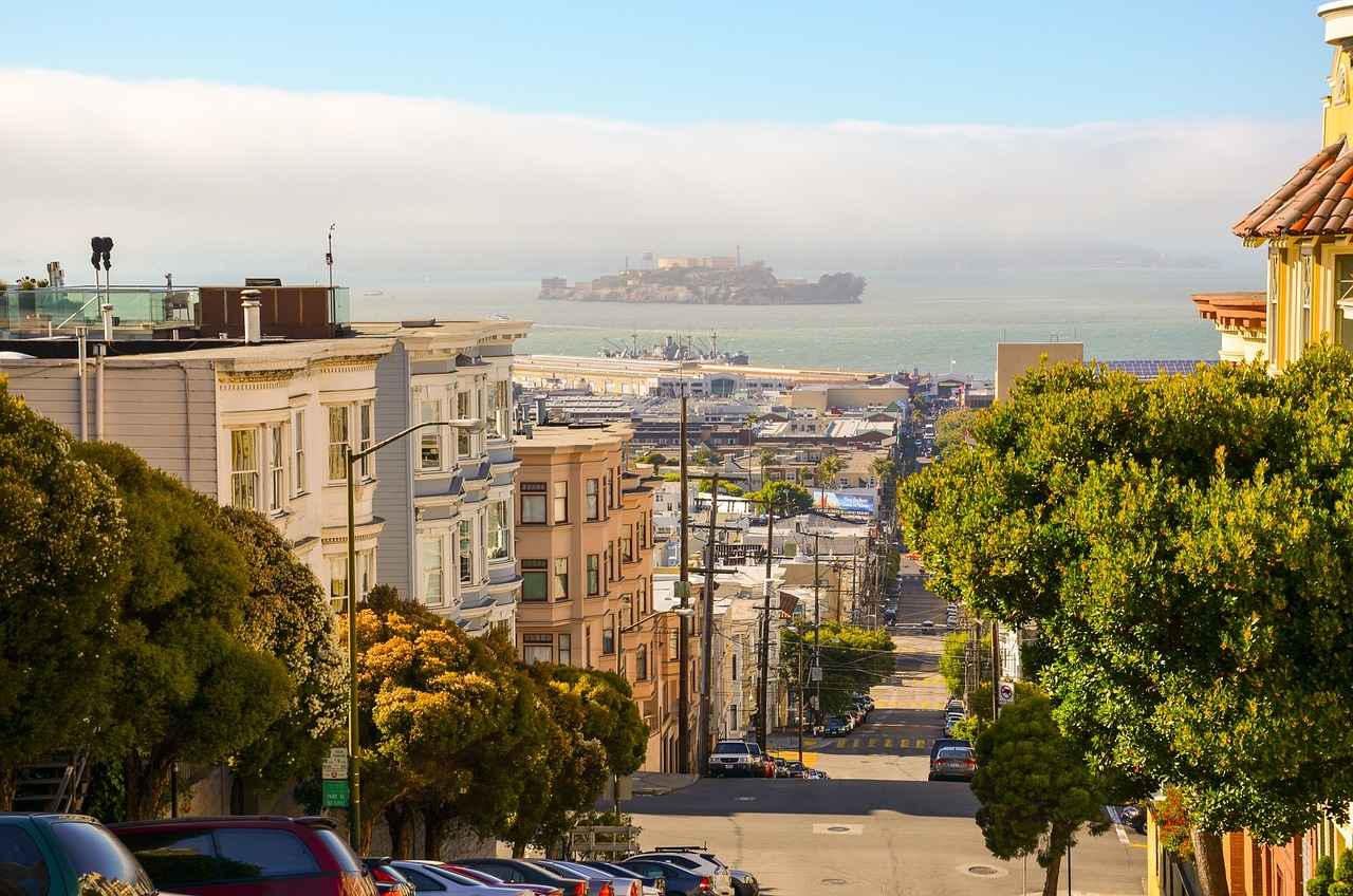 Overview of the San Francisco Giants