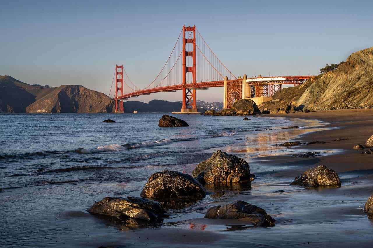 Key Players for the San Francisco Giants
