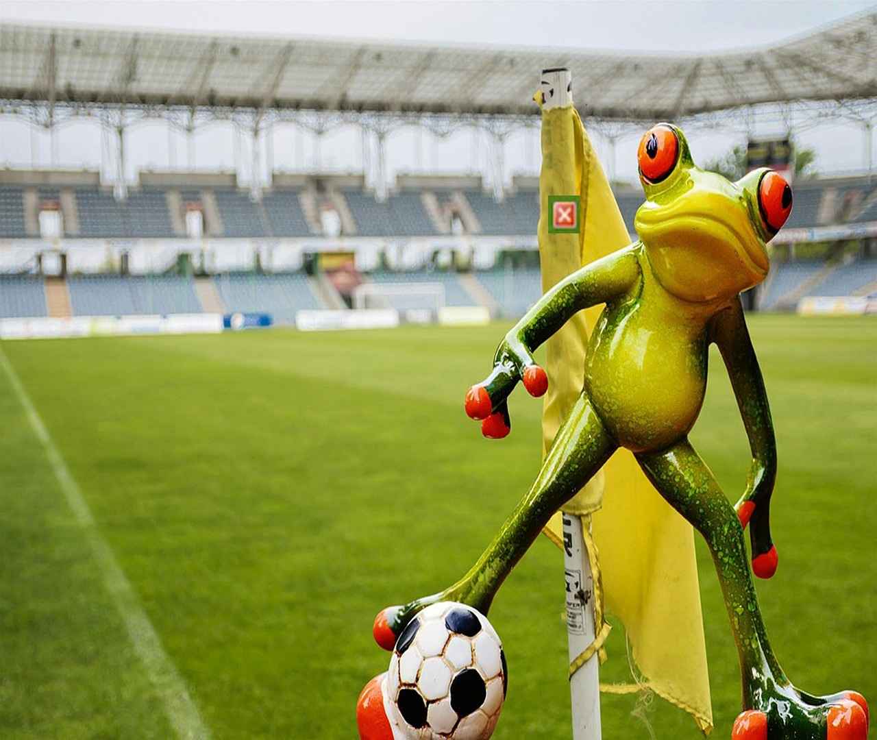 Impact of Home Field Advantage