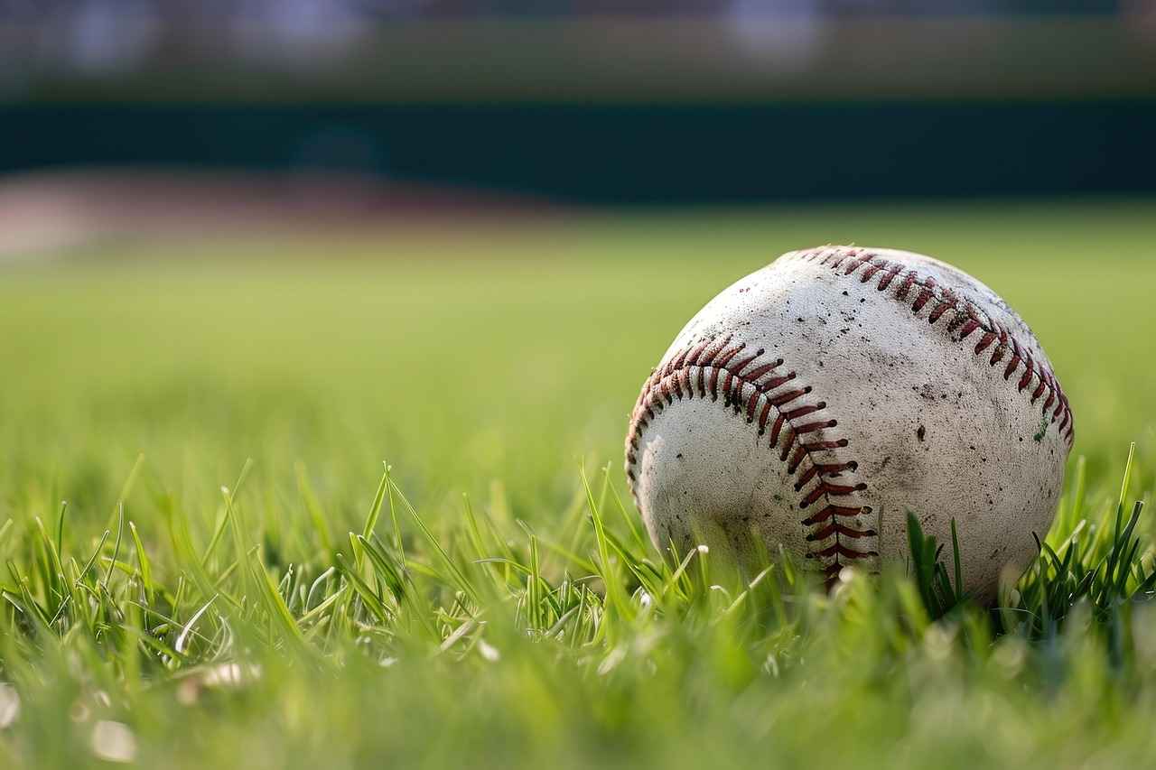 Overview of the Minnesota Twins Season Performance
