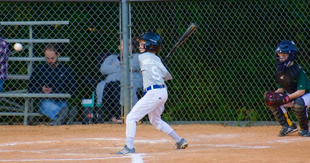 Key Players for the Minnesota Twins