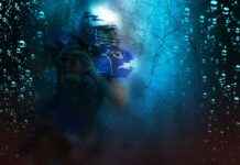 The Citadel Football vs Clemson Tigers Football Match Player Stats The Citadel Football vs Clemson Tigers Football Match Player Stats