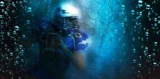 The Citadel Football vs Clemson Tigers Football Match Player Stats The Citadel Football vs Clemson Tigers Football Match Player Stats