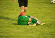 Troy Trojans Football vs Iowa Hawkeyes Football Match Player Stats Troy Trojans Football vs Iowa Hawkeyes Football Match Player Stats