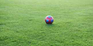 UCLA Bruins Football vs Nebraska Cornhuskers Football Match Player Stats UCLA Bruins Football vs Nebraska Cornhuskers Football Match Player Stats