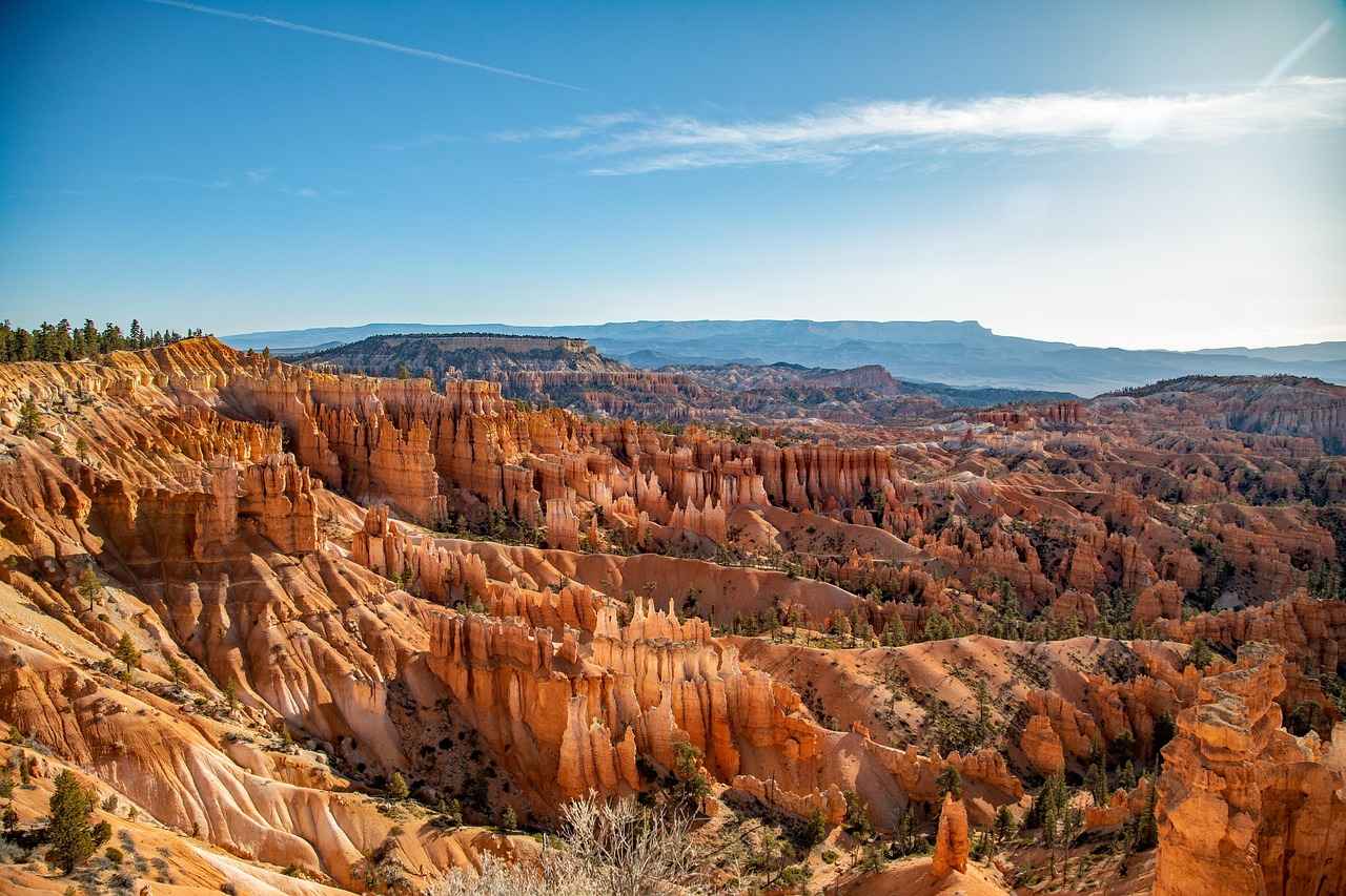 Future Outlook for Both Teams