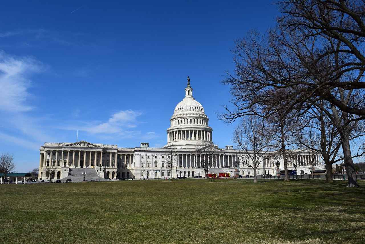 Overview of the Washington Nationals