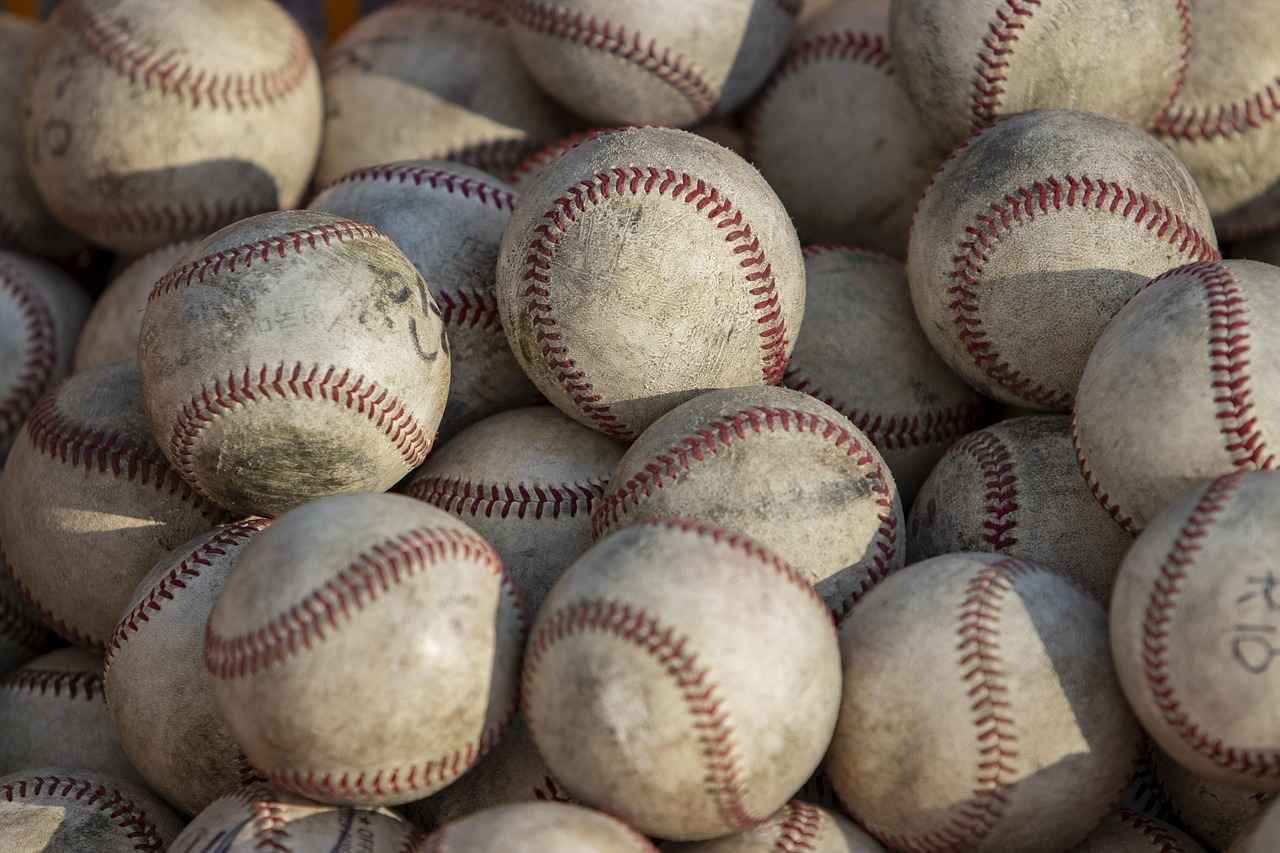 Overview of the White Sox Season