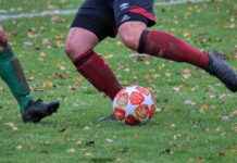 wku football vs sam houston state football match player stats wku football vs sam houston state football match player stats