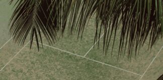 Unleashing the Ultimate Showdown: Green Bay Packers vs Chicago Bears Player Stats Revealed!