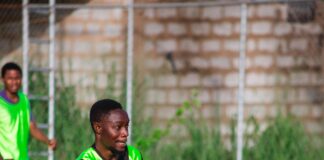 Houston Texans vs Green Bay Packers: Uncovering Match Player Stats