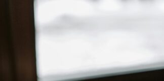 Sacramento Kings vs Lakers: Uncovering Player Stats Battle