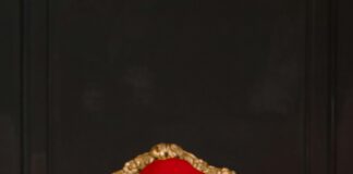 Uncover Stellar Player Stats: Golden State Warriors vs Memphis Grizzlies Match Analysis